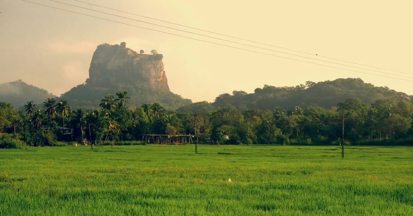 Sigiriya rock fortress rising above green jungle plains at golden hour
