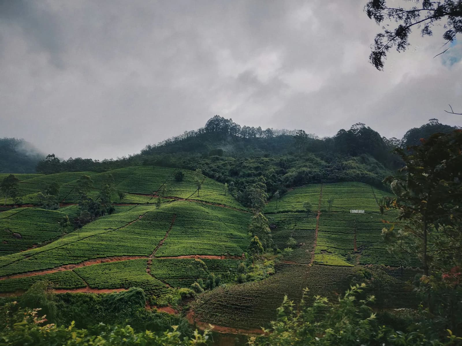 Quiet Sri Lankan landscape at soft morning light
