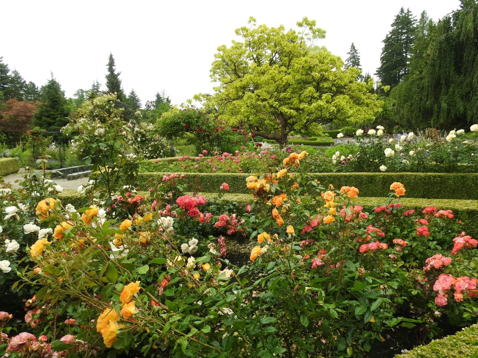 Peradeniya Botanical Gardens