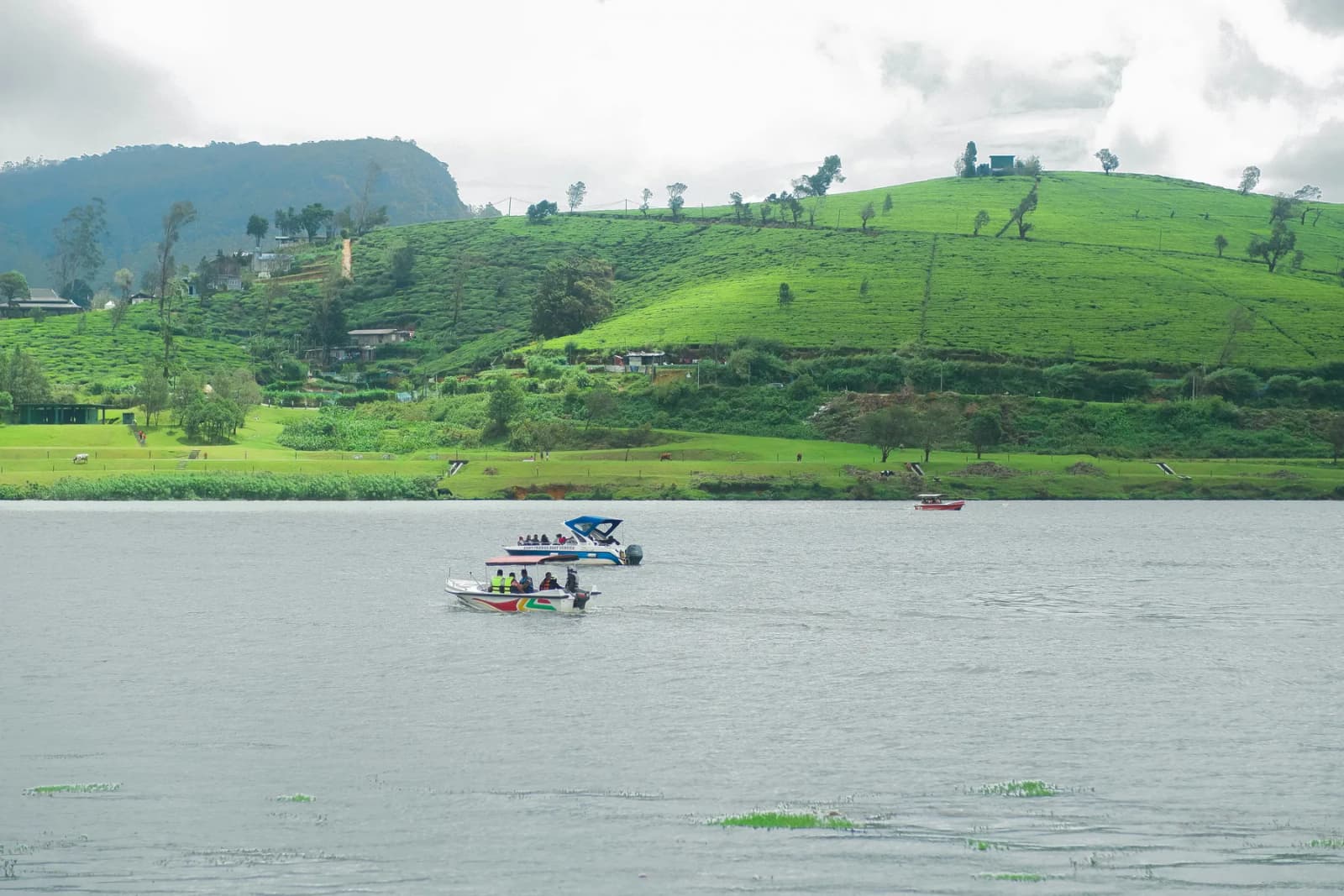Gregory Lake in Nuwara Eliya
