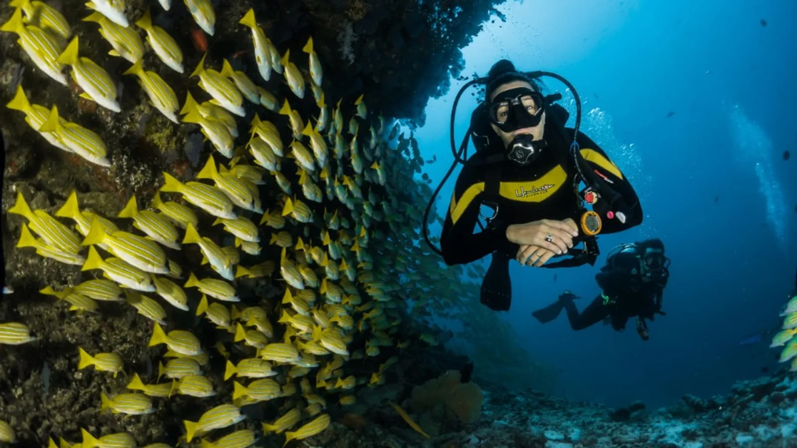 Scuba divers exploring a coral reef with a school of yellow fish