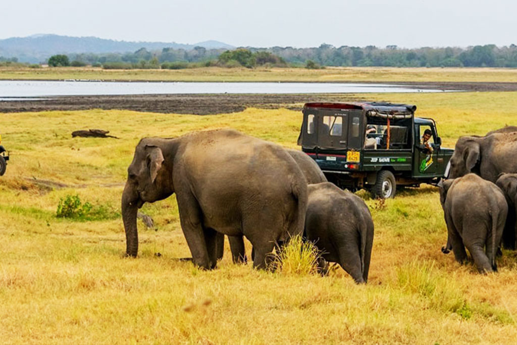 Sri-Lanka-Tourism