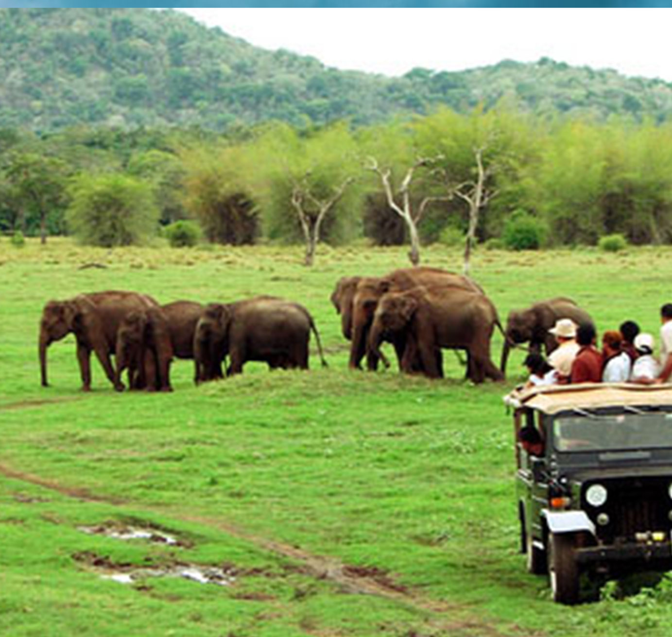 sri lanka tours